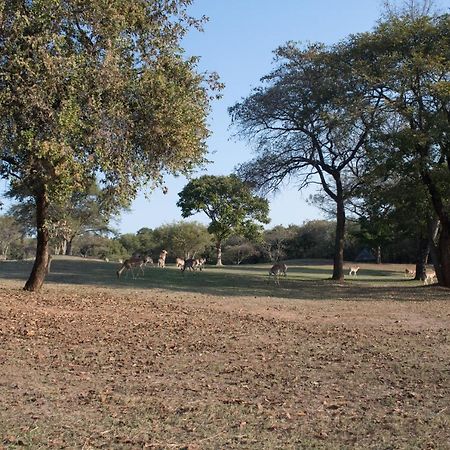 Kruger Park Lodge Unit 245 Hazyview Zewnętrze zdjęcie