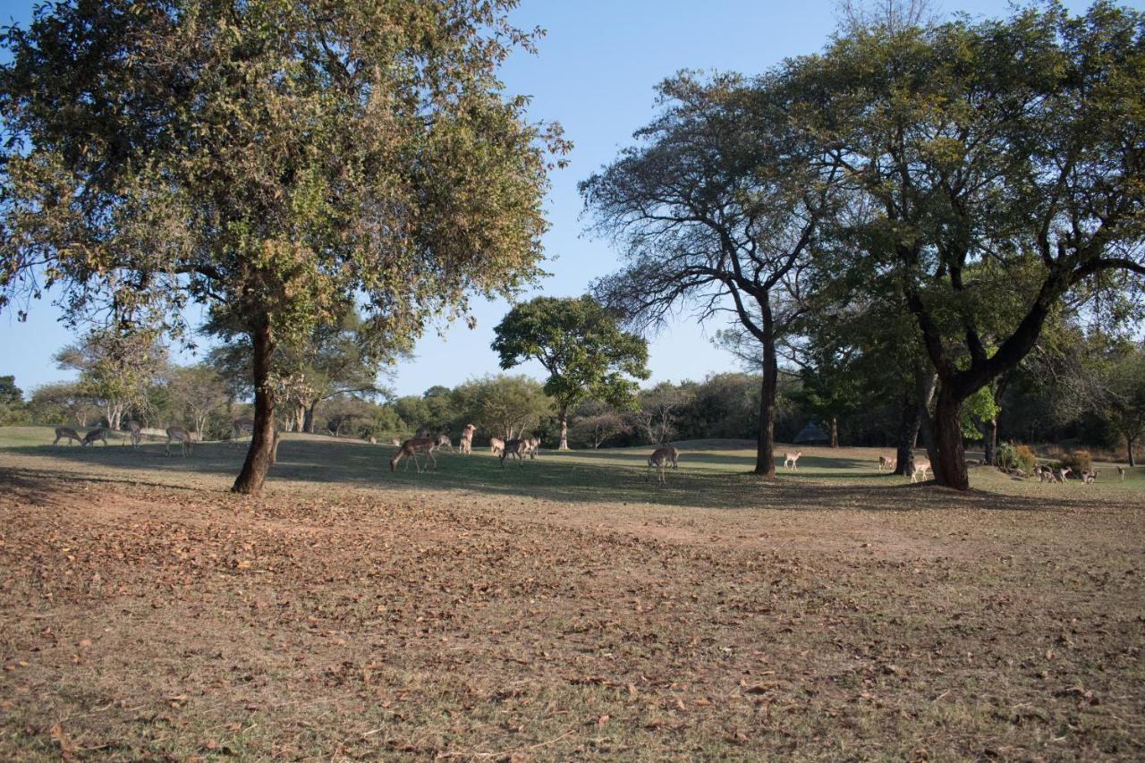 Kruger Park Lodge Unit 245 Hazyview Zewnętrze zdjęcie