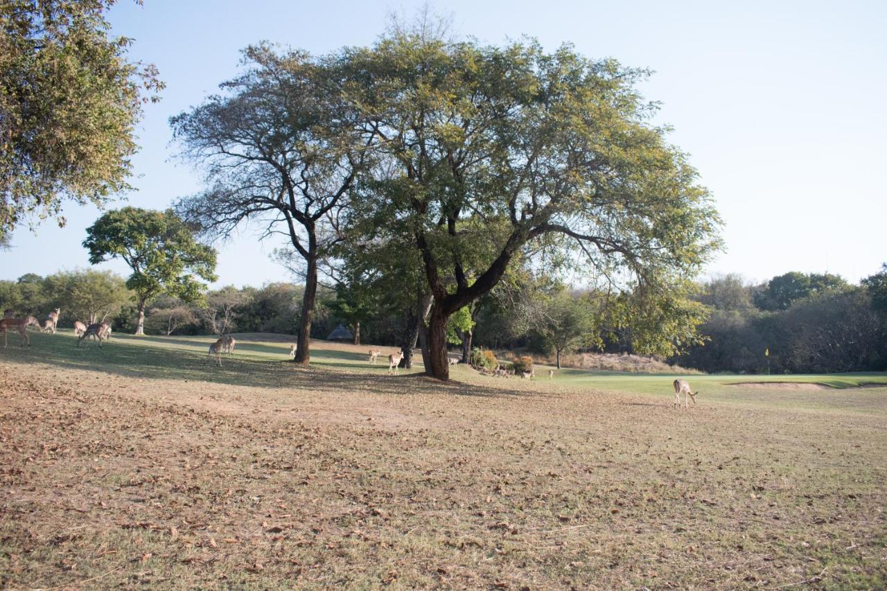 Kruger Park Lodge Unit 245 Hazyview Zewnętrze zdjęcie